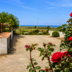 SAN VITO LO CAPO – VIA DEL MANDARINO
