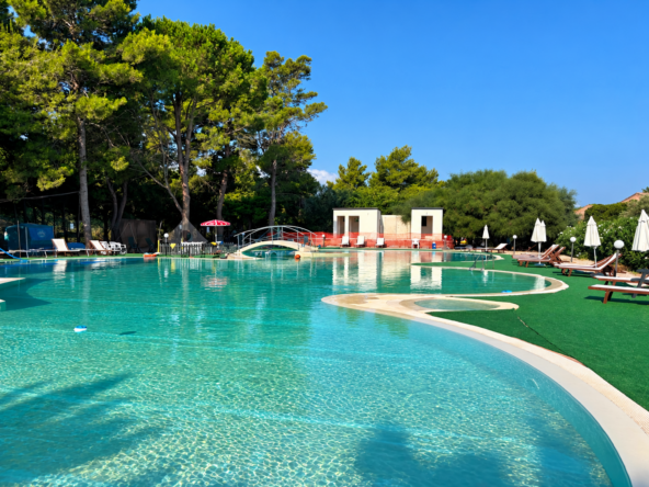 Piscina luminosa con ponticello e alberi