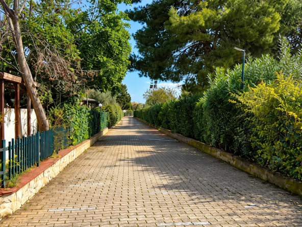 Vialetto residenziale tra pini e siepi