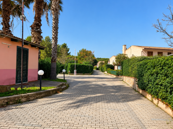 Villa mediterranea con palme e giardino